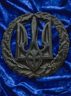 Military emblem