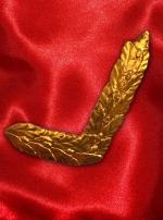 Ornament on kytel Justice