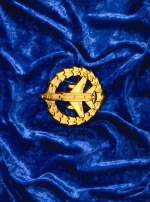 Aviation emblem